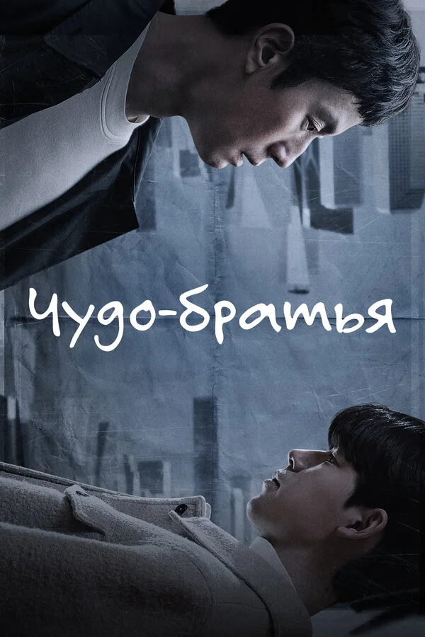 Чудесные братья - постер сериала